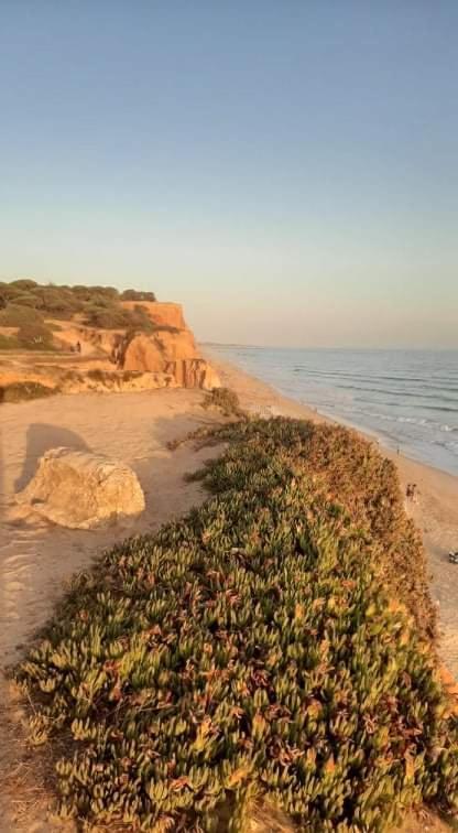 Alfamar V3 Falesia Beach Villa Albufeira Eksteriør billede